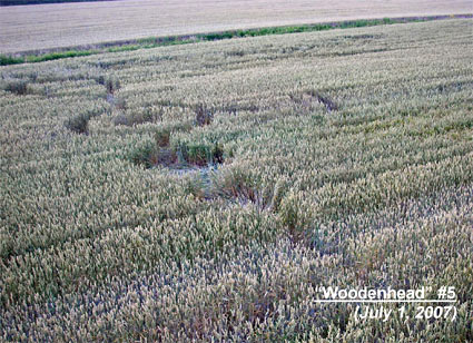 crop circle - complex pictogram