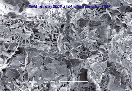 SEM photo of white powder